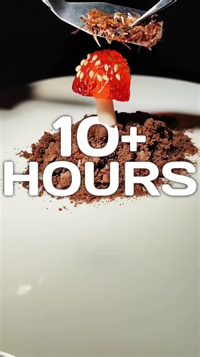 Dont Blink This Isnt a Mushroom 👀❌ | puffball mushroom