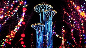 Winter Olympic Games: What to Know as Start of 2022 Competition Nears