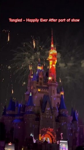 Magic Kingdom - Happily Ever After - Tangled - See the Light Show. #fireworks #happilyeverafter
