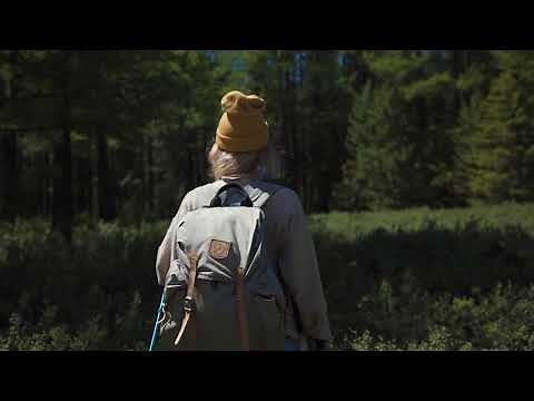 McGill PhD in Management: This is your journey