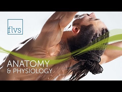 FLVS Anatomy & Physiology Course Tour