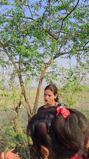 Hello YouTube Team, One of my channels was previously terminated under the Spam, Deceptive Practices and Scams Policy, but after my appeal, YouTube reviewed the case and reinstated it. This confirms that there was no actual violation from my side. Since that channel has already been restored, the circumvention policy should not apply to me. I have never attempted to bypass any restrictions, create duplicate channels, or evade enforcement actions. The current termination under circumvention seems