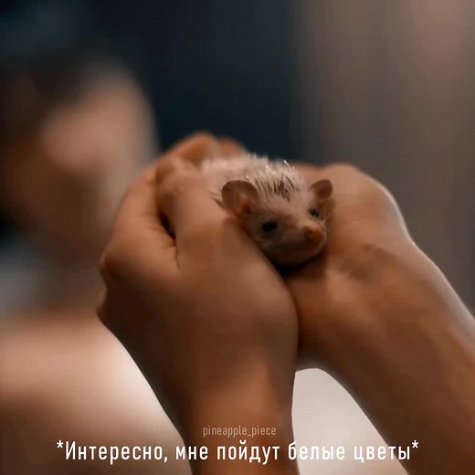 Pineapple на TikTok