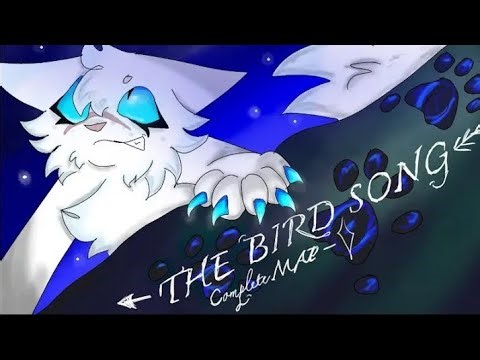 The Bird Song A Complete OC Mini Map