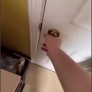 Premium Memes on Reels