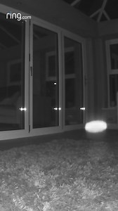 Do you think this is a ghost or...? 👻👀 | Ring