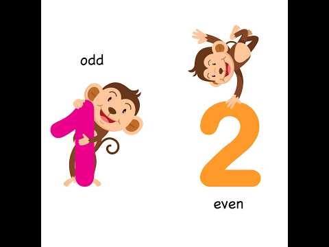Java Program to Check Even or Odd (Simple Explanation)