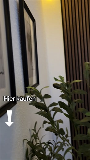 So ein schöner Deko Baum für zuhause 😍 #deko #deco #home #homedecor #fy