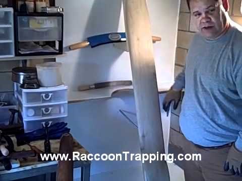 Don Powell and His Blue English Fleshing System for Raccoon