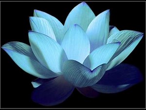 Antonio Vivaldi: Dresden sonata for violin/oboe & b.c. in G minor (RV 28) - I. III.