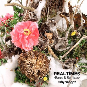 Why Sheep? - Real Times −Rares & Remixes−