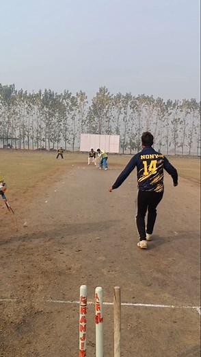 bowling challenge #viralvideo #cricket #youtubeshorts #shorts #short #shortvideo #ytshorts #explore