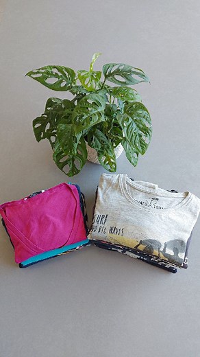 𝙰𝚗𝚗𝚊 | 𝙷𝚘𝚖𝚎 𝚝𝚒𝚙𝚜 | 𝙰𝚛𝚛𝚎𝚍𝚘 | 𝙻𝚒𝚏𝚎𝚜𝚝𝚢𝚕𝚎 on Instagram: "𝑪𝒐𝒎𝒆 𝒑𝒊𝒆𝒈𝒂𝒓𝒆 𝒍𝒆 𝒕-𝒔𝒉𝒊𝒓𝒕 🌿 Ti svelo come piegare velocemente le tue t-shirt 😎 Che ne pensi? P.s. Avrei potuto prima stirare la maglietta ma faceva troppo caldo 😜 📌 Se ti è stato utile fai doppio tap e salva il post per usarlo ogni volta che vorrai. • • • #annahomelife #inspohomelife #inspohome #tipscasa #organizzazione #tipscasalinga #organizzazionecasa #organizzazioneperfetta #cleaningtips #ins