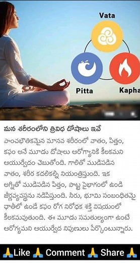 Ayurveda Doshas: Vata, Kapha, and Pitta Explained