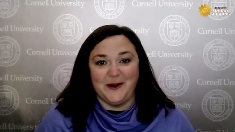 What's that bird? Merlin Bird ID app works magic