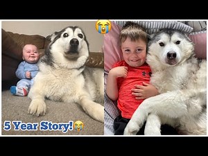 5 Year Time Lapse Of Parker & Millie Becoming Best Friends!😭💙. [UNSEEN CLIPS!!!]