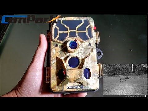 Campark T80 Trail Camera | Unboxing & Technical Issues