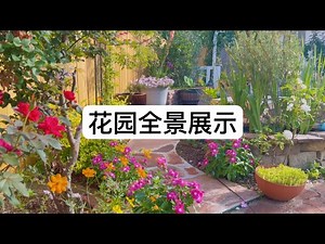 欢迎来看看我的花园，一起慢慢绕一圈