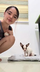 She is deaf of sign language dogs See hand know congratulations | Deaf News & Story