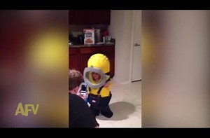 Toddler in "Minion" costume reacts adorably after falling over.