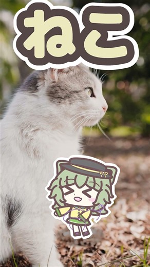【ねこねこ東方】ねこねこいし③ #東方project #猫 #古明地こいし