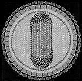 Equine infectious anemia - Alchetron, the free social encyclopedia