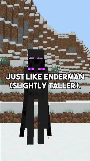 THE ENDERMAN GOT A WOMAN (MCPE)