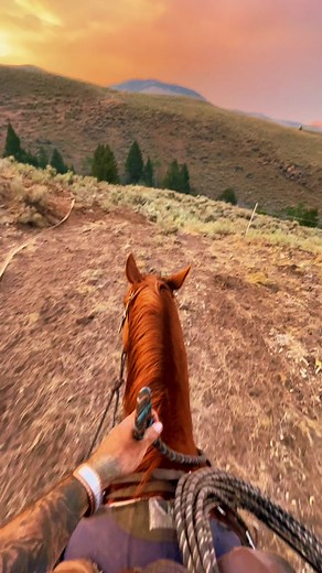 Life in the Western Ranch: A Cowboy's Journey at Sunset