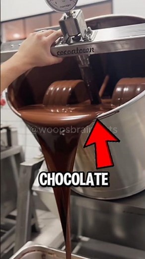 How Chocolate is Made😱