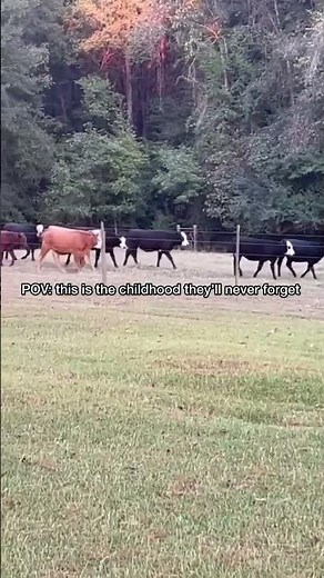 To them, it’s just another day outside. To me, it’s everything I hoped their childhood would be. ❤️