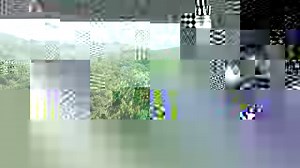 531K views · 8.3K reactions | Gerard Butler é alvo de uma conspiração no trailer da sequência de Invasão a Londres.  | Loucos por Filmes | Facebook