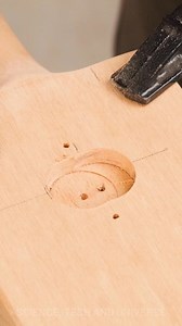 Designing the Perfect Custom Cricket Bat | Science, Tech and Universe