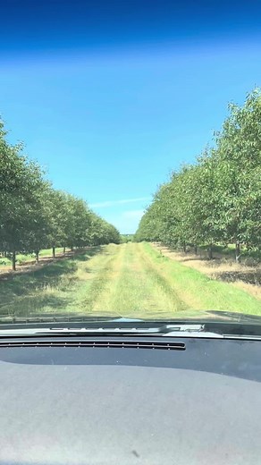 Last week I visited Seaquist Orchards in Sister Bay! 🍒Harvesting over 10 million pounds of cherries last year, the Seaquist’s have multiple generations involved in all aspects of their operation. I had an opportunity to watch their Cherry harvest in the orchard, visit their processing plant, and taste their fan favorite cherry pie! 😋 Door County cherries account for over 95% of tart cherries grown in Wisconsin, and Wisconsin ranks fifth in the nation for tart Cherry production. What’s your fav