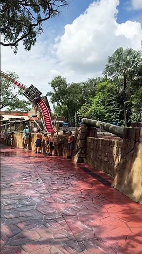SheiKra Roller Coaster || Busch Gardens Tampa