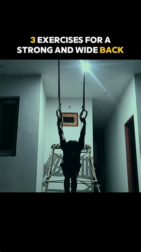 3 Calisthenics Back Exercises #shorts #calisthenics #tutorial #bodyweighttraining