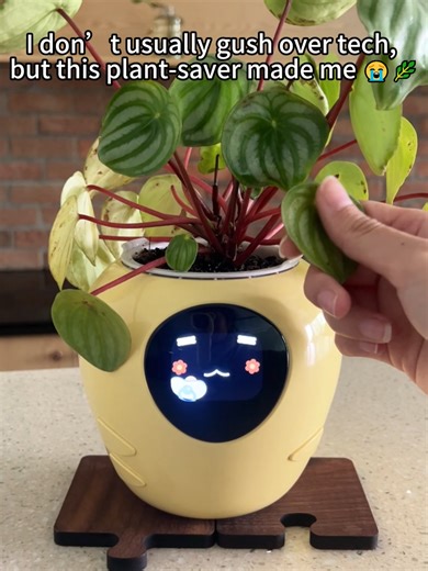 It's like a Tamagotchi - but alive.https://www.plantsrobot.com/ #giftideasforher #decoratewithme #indoordecor,outdoor #thouseplants #alplanterr#planter #plantgift #cuteplanternepal #plantcare #virall #fyp #plantsrobot #love #plants#gift #diy #thomeoffice #smarthome #robot #targethome #techgadgets #desksetup #gardening #smarthome #robot #diy