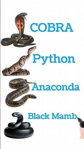 🐍 दुनिया के खतरनाक और सुंदर सांप | Types of Snakes #ytshorts