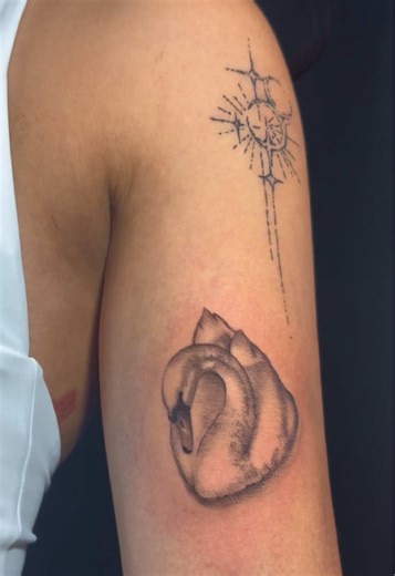 Swan baby <3 . . . . . . #houstontattooartist #houstontx #fypシ #swantattoo #swan