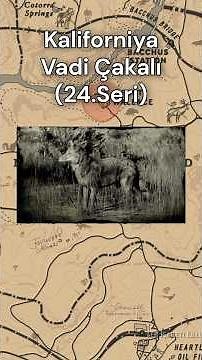 RDR2 California Valley Coyote [Animal Guide Series 24] #gaming #rdr2