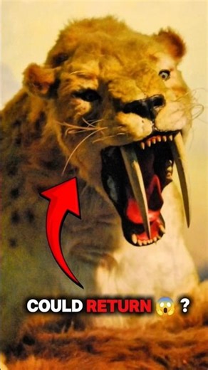 Top 5 Extinct Animals That Could Return #extinctanimals #shorts #animals