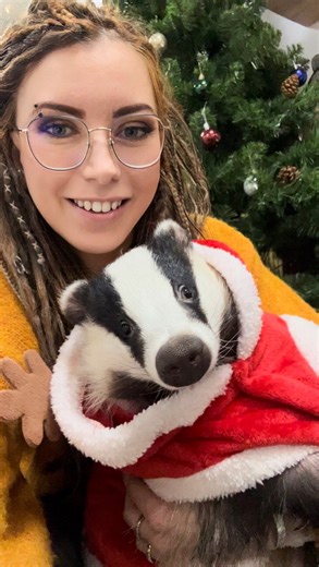 Барсук Юра Цветочек 🌸 on Instagram: "🎅🎄🎁☃️❄️ #барсукюра #badger"