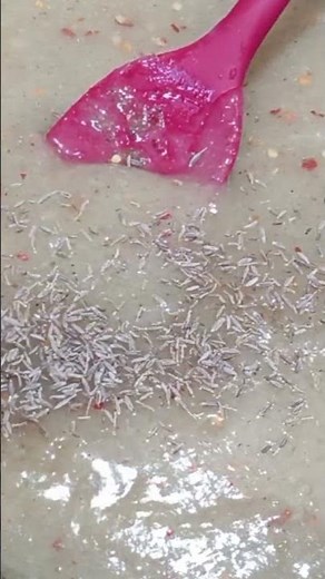 Raw mango papar yummy recipes with uzma kitchen