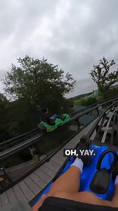 80K views · 102 reactions | Who else loves "racing" roller coasters? | Theme Park Review | Facebook