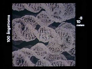 APOD: 2015 March 24 - Powers of Ten