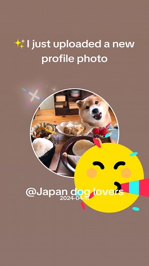 Japan dog lovers (@japan.dog.lovers)’s videos with original sound - Japan dog lovers