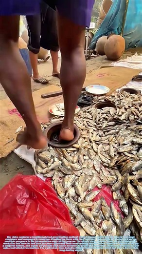 Treading Tradition: The Ancient Technique of Massaging Fish