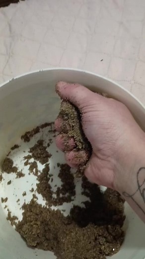 I tried drying it out n making chunks but river sand is more gritty.... I'll really have to sift the sand more thoroughly to get the time parts of it to make chunks but I did compressed hand fulls hope u enjoy!!!!