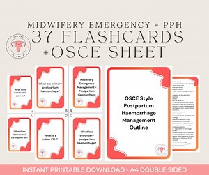 Hebammen Notfallmanagement - Wochenbettblutungen Lernkarten (PDF Download) - Etsy.de
