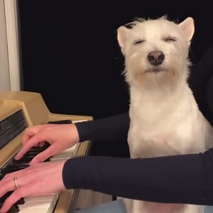 If this isn’t a Friday mood, we don’t know what is 🤣❤️ (Video courtesy of Kara Mehrmann) | OffBeat Magazine