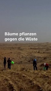 Wang Yinji pflanzt in der Wüste Gobi Bäume und gießt sie. Diese Renaturierung ist für ihn ein Akt des Überlebens, denn damit will er sein Ackerland von der Wüste wieder zurückgewinnen - und noch mehr. | ZDF heute